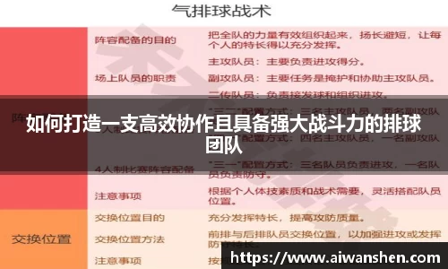 如何打造一支高效协作且具备强大战斗力的排球团队